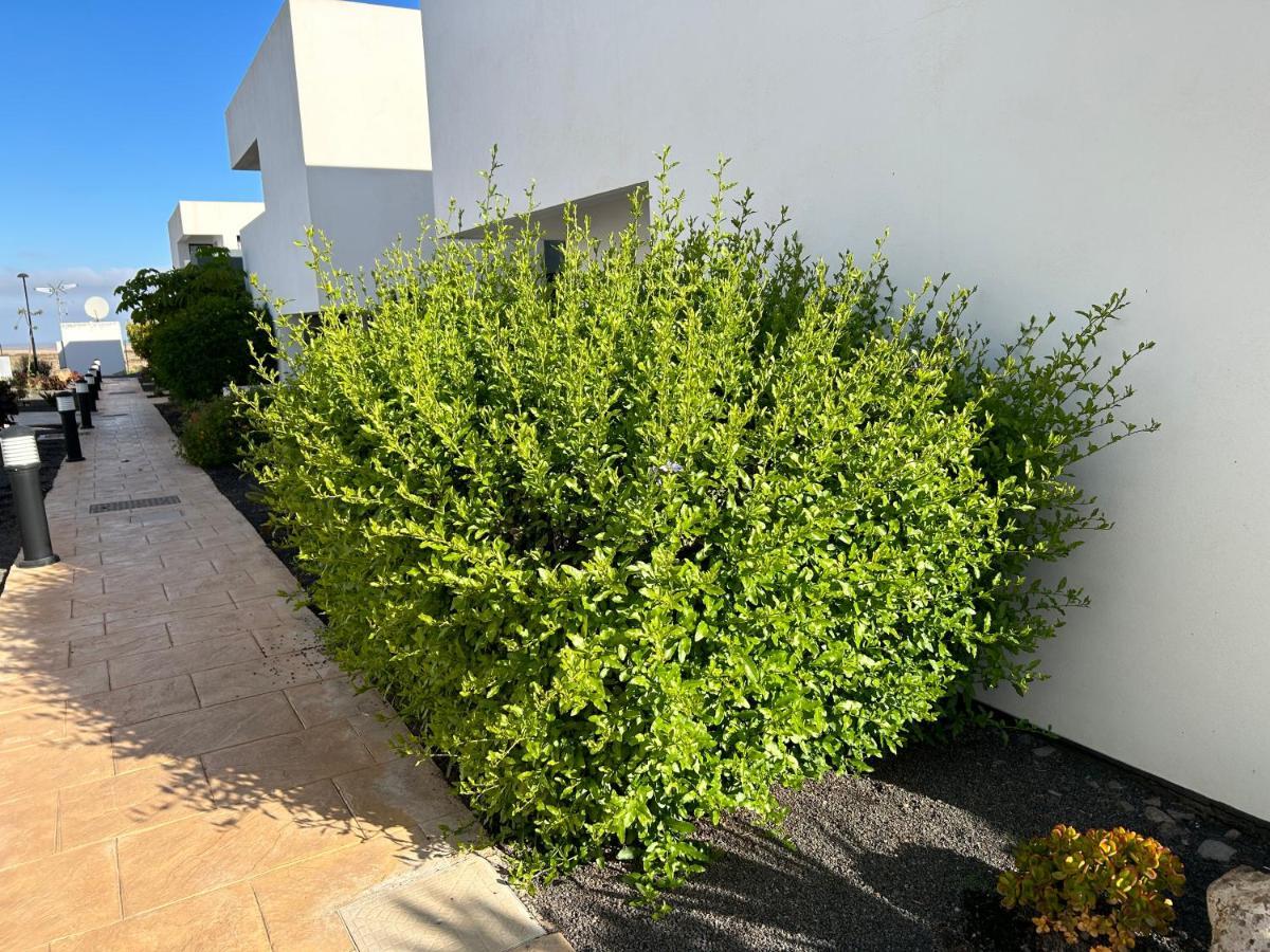 Casilla De Costa, La Oliva Apartamento Villaverde  Exterior foto